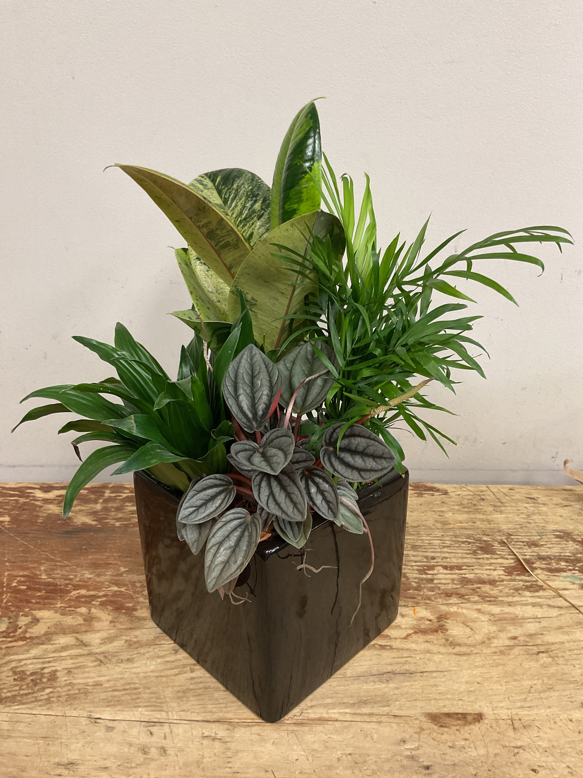 Assorted Planter