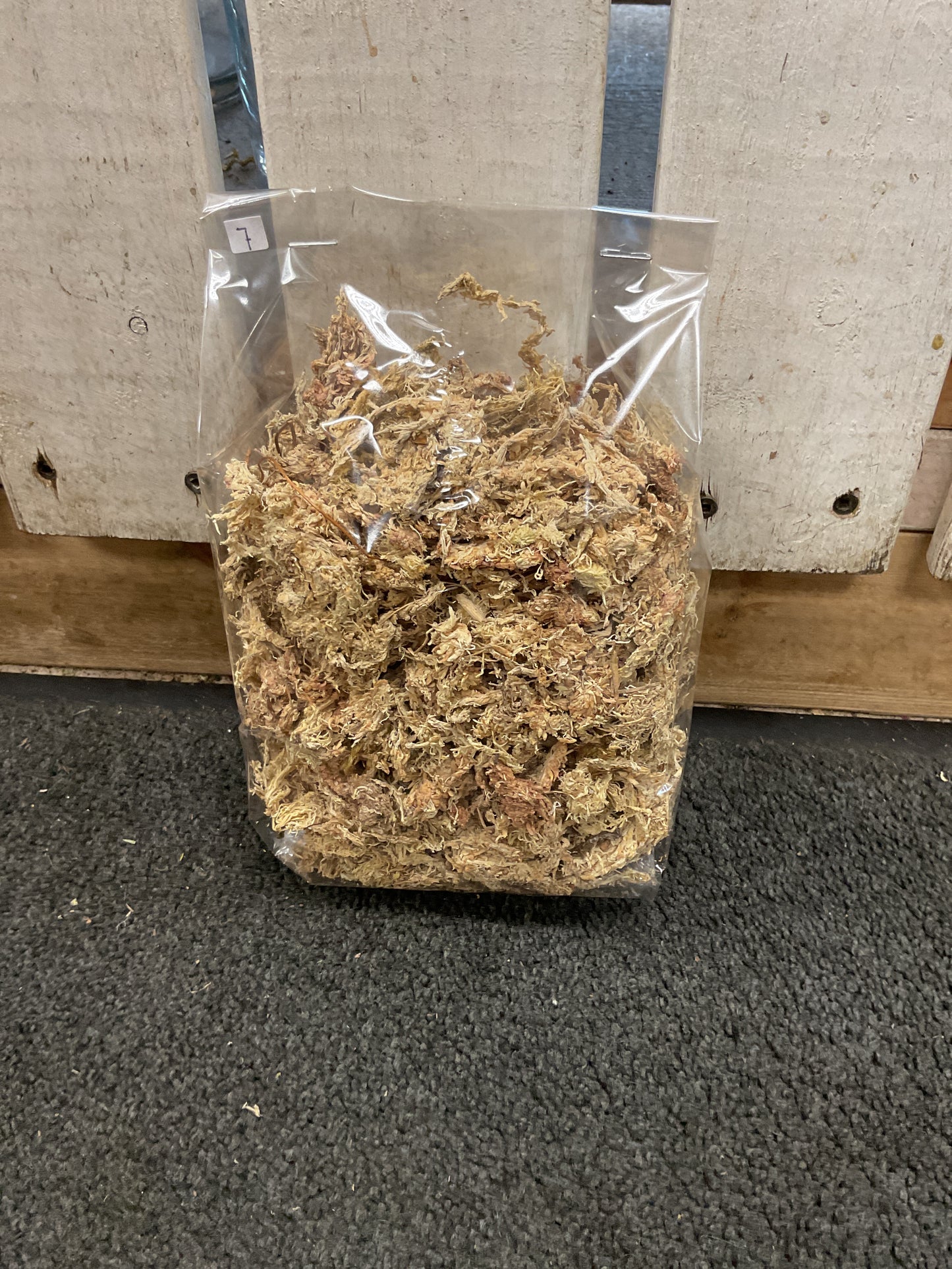 Sphagnum Moss