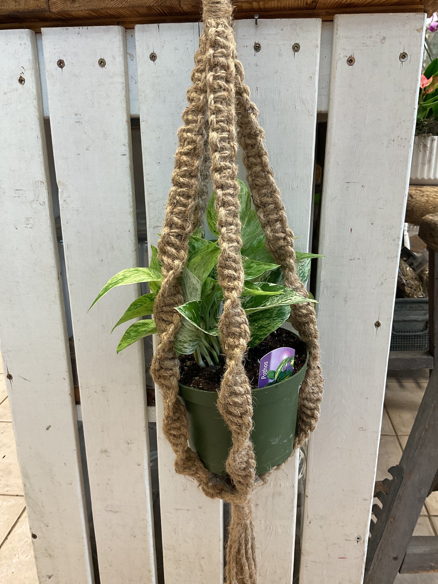 Macrame Plant Hanger
