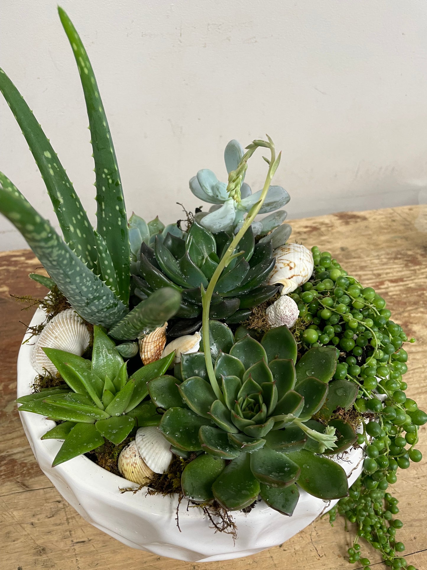 Custom-Made Succulent Planter