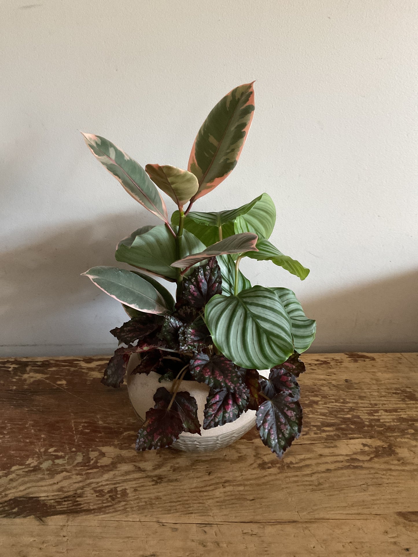 Tropical planter