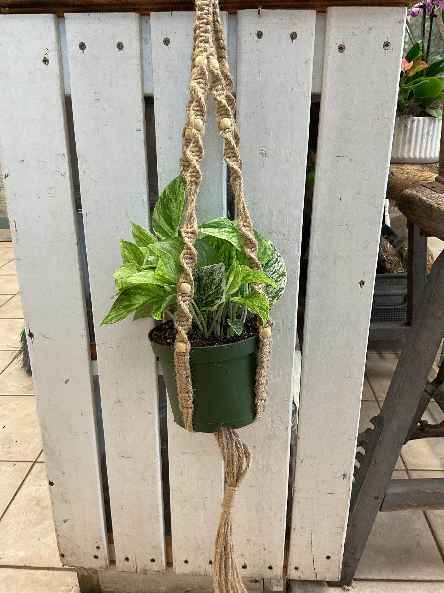 Macrame Plant Hanger