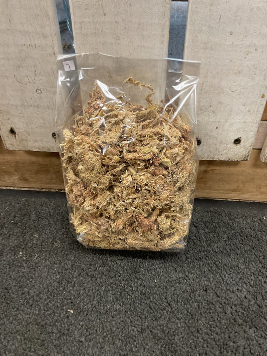 Sphagnum Moss