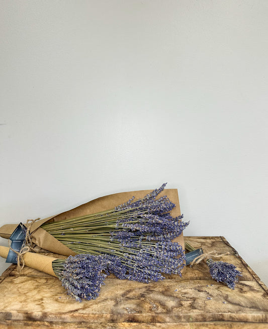 Dried Lavender