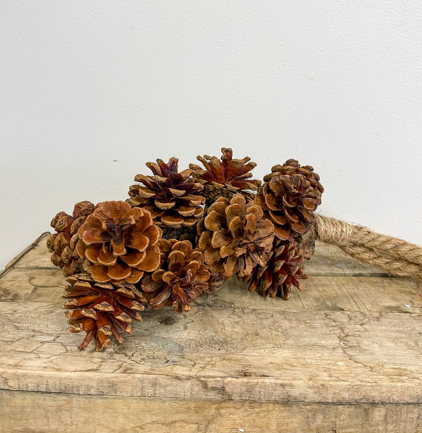 Rustic Pinecone Hanging Decor