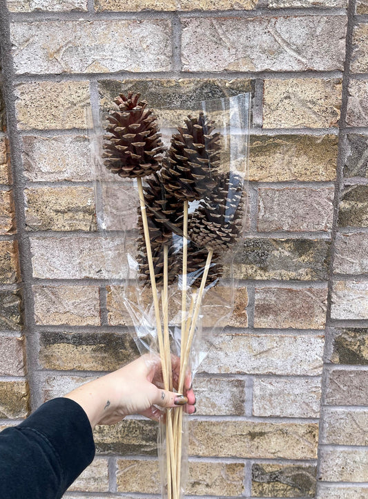 Large Pinecone Stake