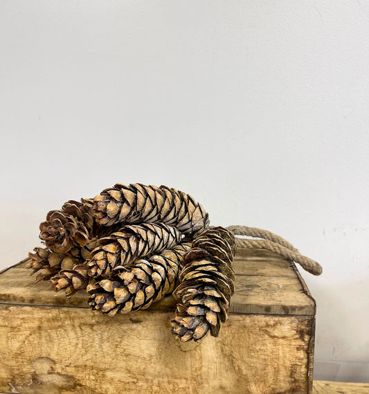 Large Pinecone Hanging Ornament